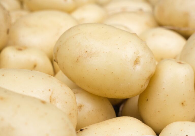 FPSA Transitions into GB Potatoes Fresh Sector Consultation Group 
