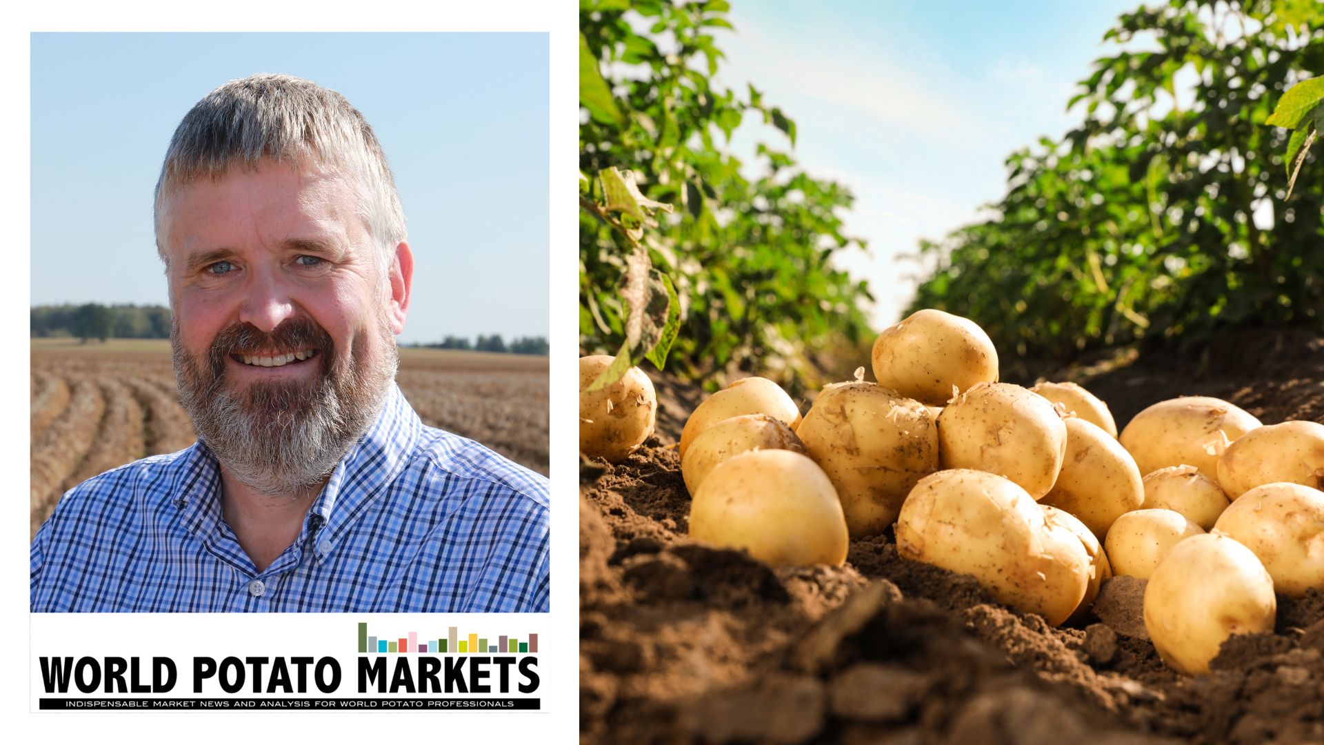 World Potato Markets briefing, Cedric Porter