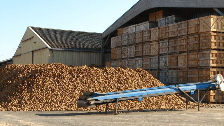 CIPC Residues Monitoring Group submits second-year draft report and calls for industry support to secure future potato storage capacity 